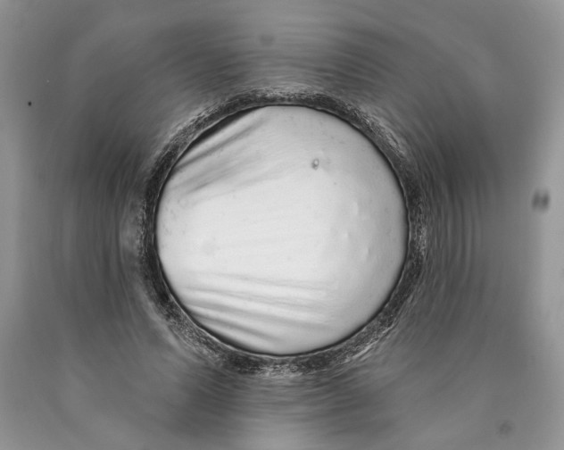 X0000089960591200707271903