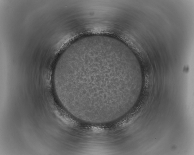 X0000089960592200707271903