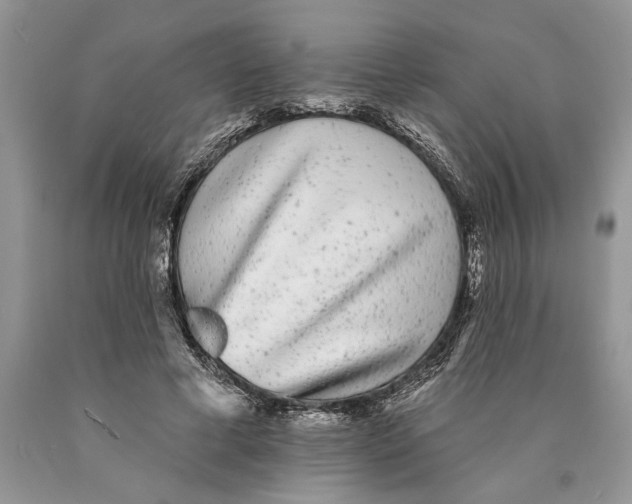 X0000089960593200707271903