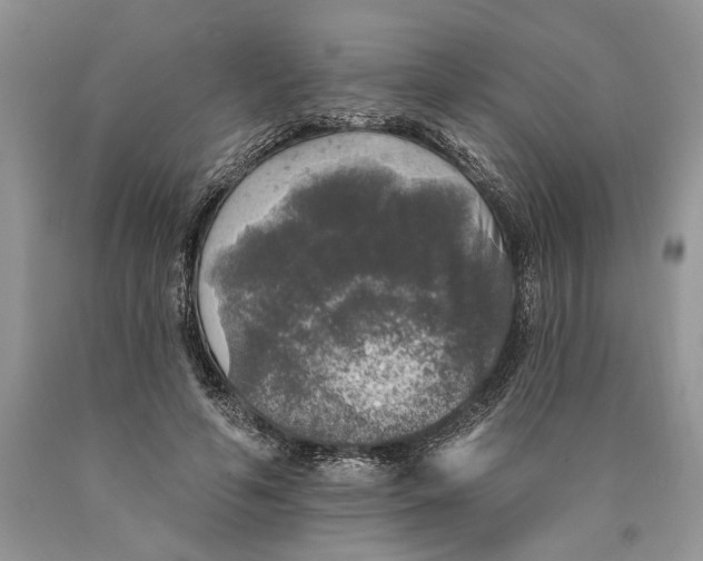 X0000089960594200707271903