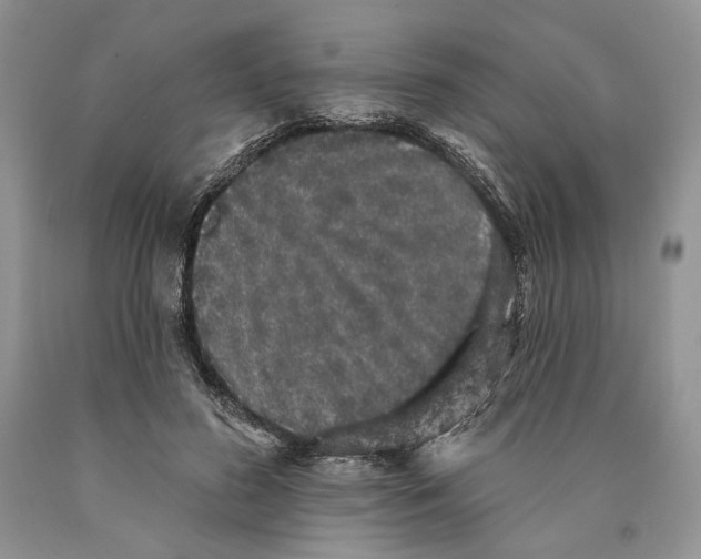 X0000089960596200707271903