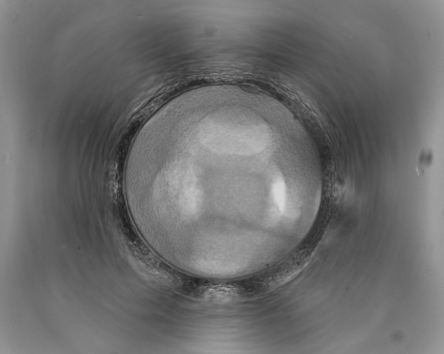 X0000089960599200707271903