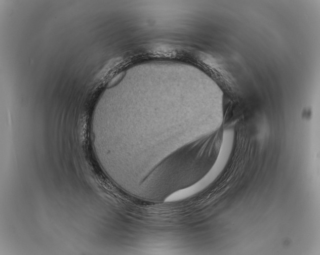 X0000089960600200707271903