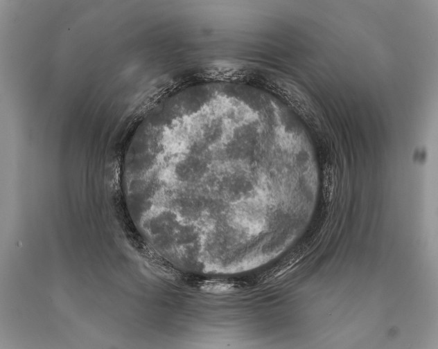 X0000089960602200707271903