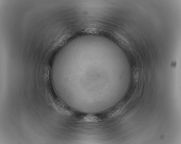 X0000089960603200707271903