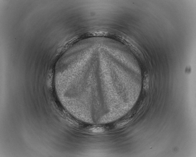 X0000089960604200707271903