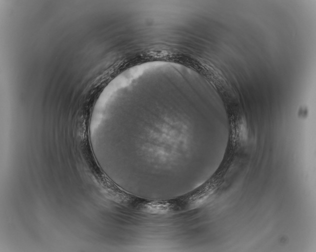 X0000089960606200707271903