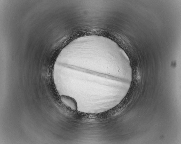 X0000089960607200707271903