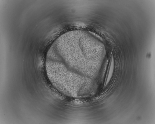 X0000089960608200707271903