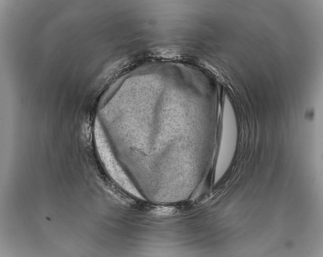 X0000089960609200707271903