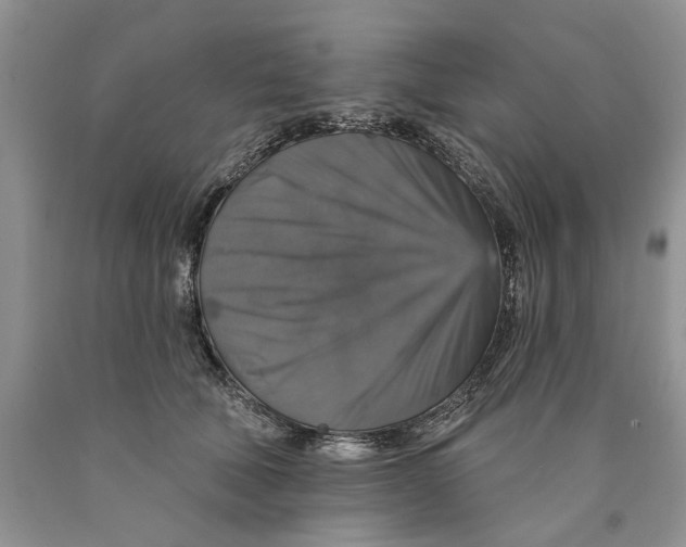 X0000089960610200707271903