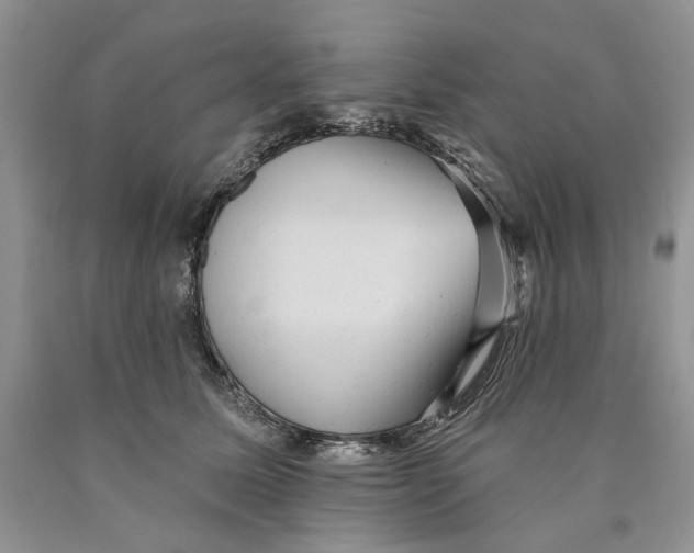 X0000089960611200707271903