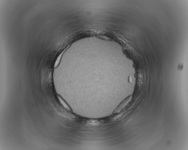 X0000089960613200707271903