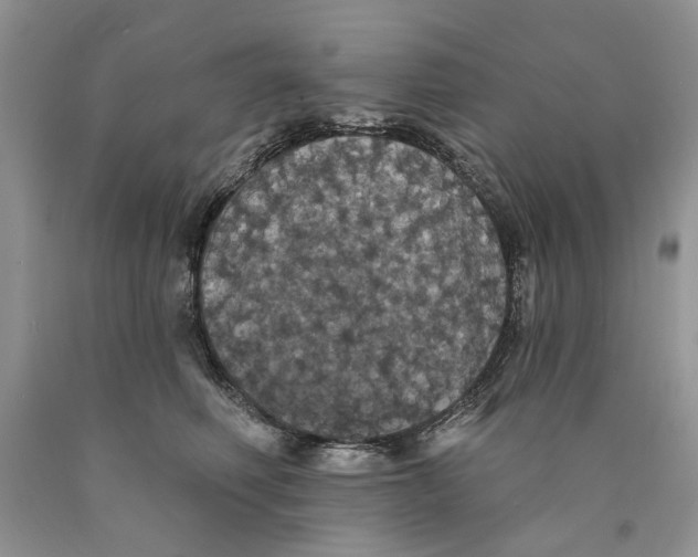 X0000089960614200707271903