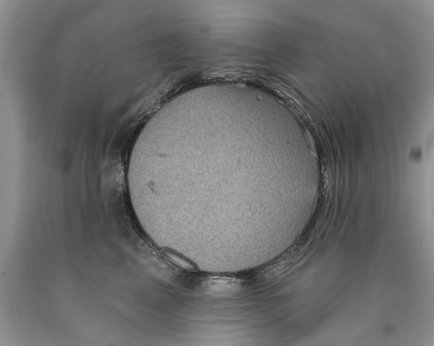 X0000089960617200707271903