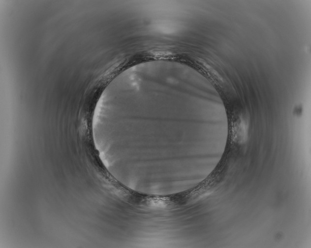 X0000089960618200707271903