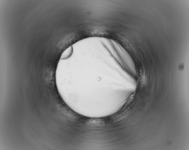 X0000089960619200707271903