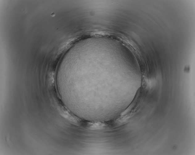 X0000089960621200707271902