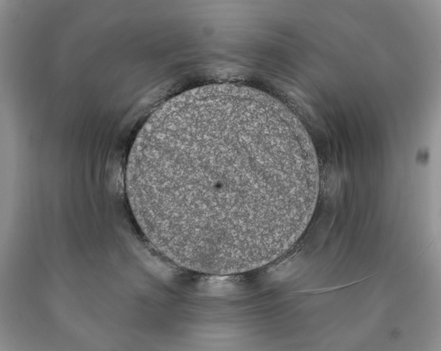 X0000089960622200707271902