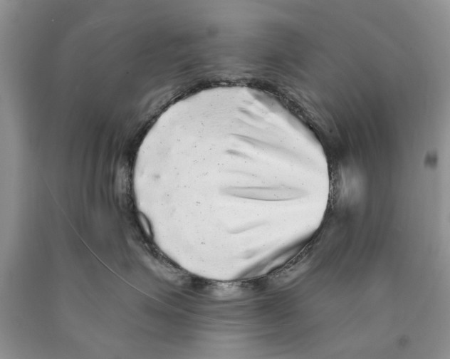 X0000089960623200707271902