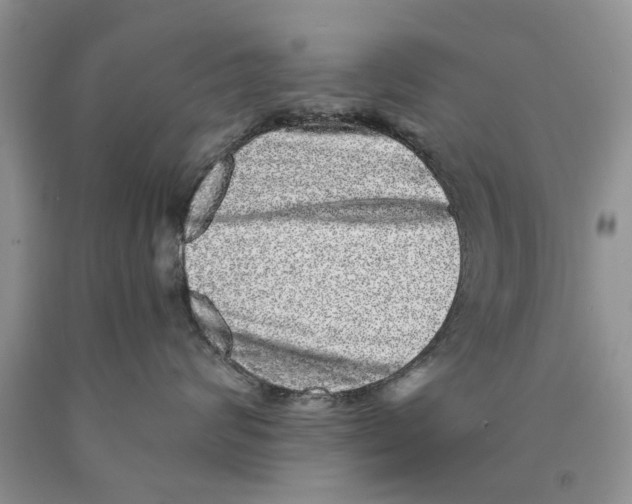 X0000089960624200707271902