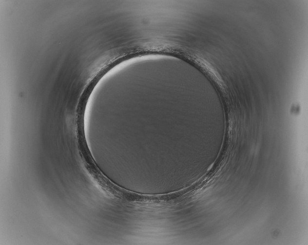 X0000089960626200707271902