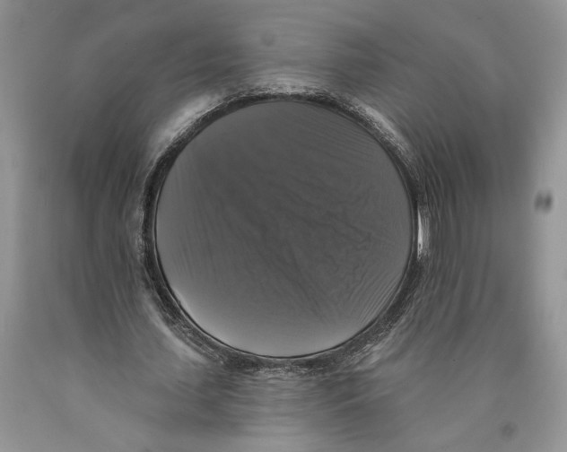 X0000089960627200707271902