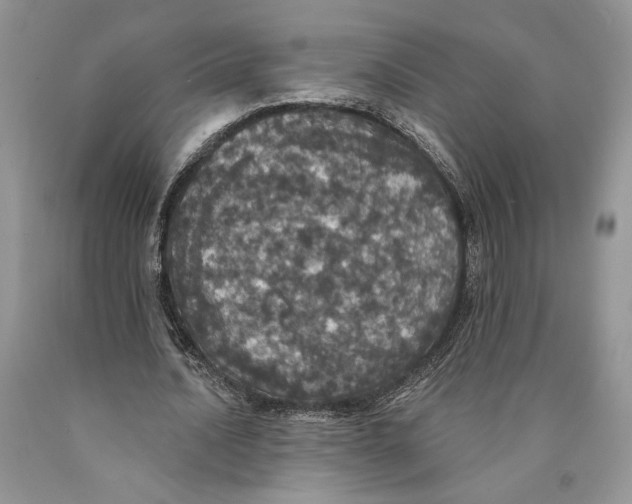 X0000089960628200707271902