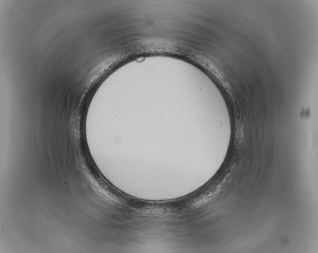 X0000089960629200707271902