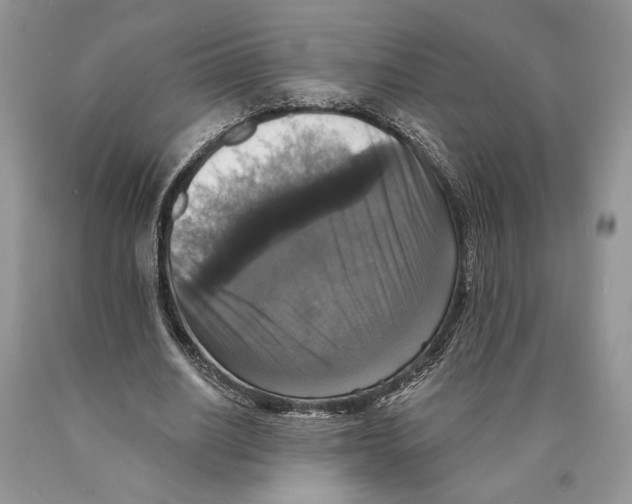 X0000089960630200707271902