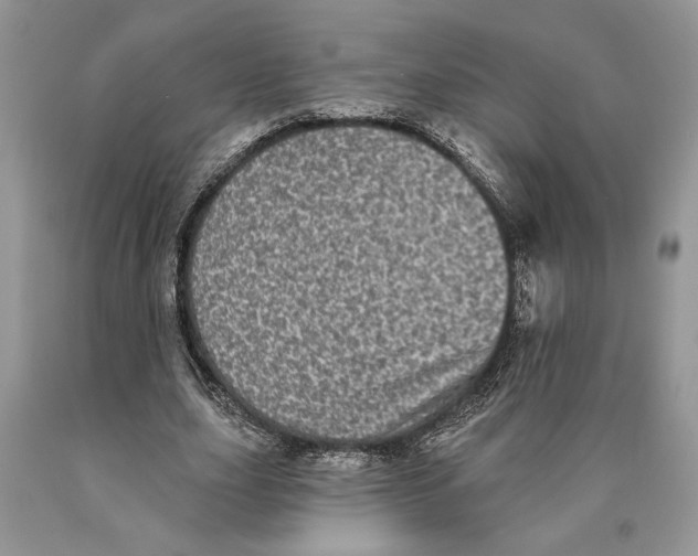 X0000089960631200707271902