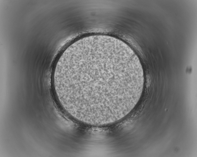 X0000089960632200707271902