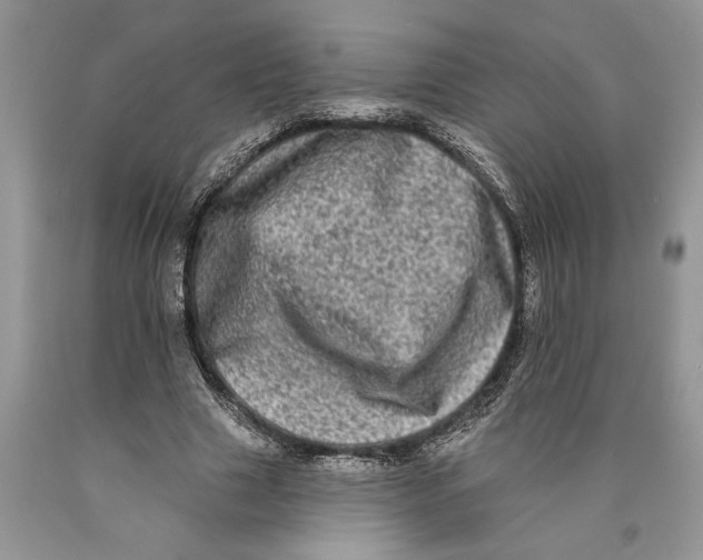 X0000089960633200707271902