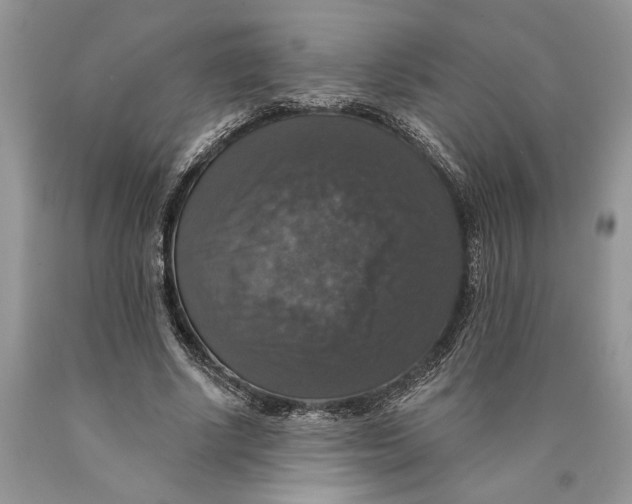 X0000089960634200707271902