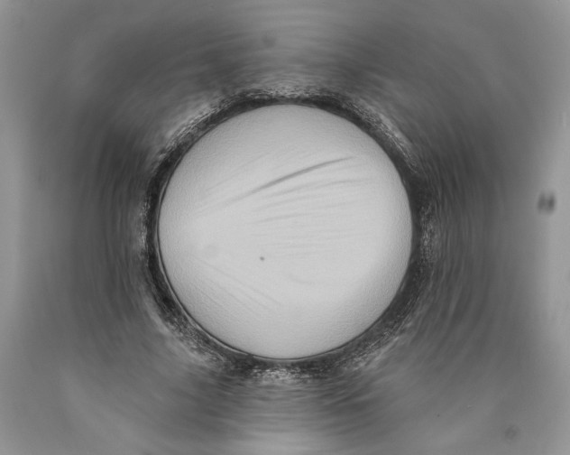 X0000089960635200707271902