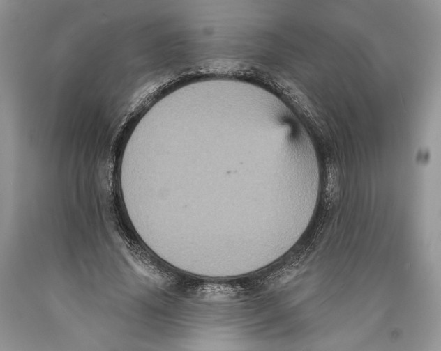 X0000089960636200707271902