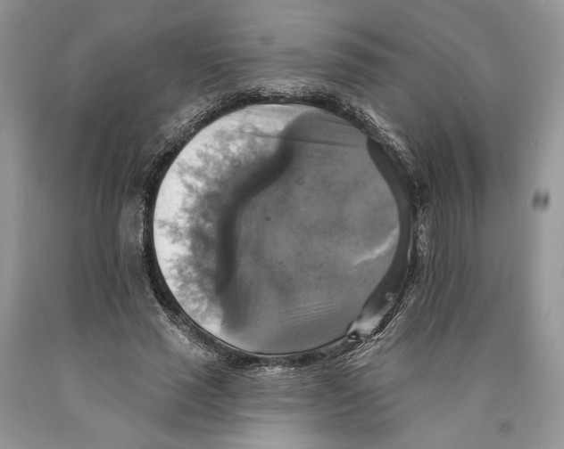 X0000089960637200707271902