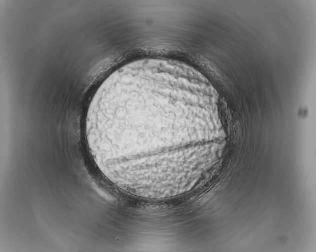 X0000089960638200707271902