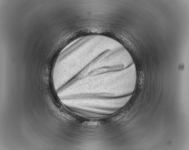 X0000089960639200707271902