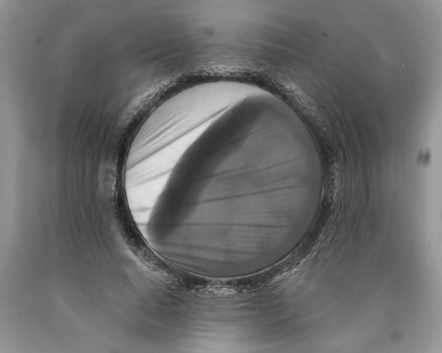 X0000089960640200707271902