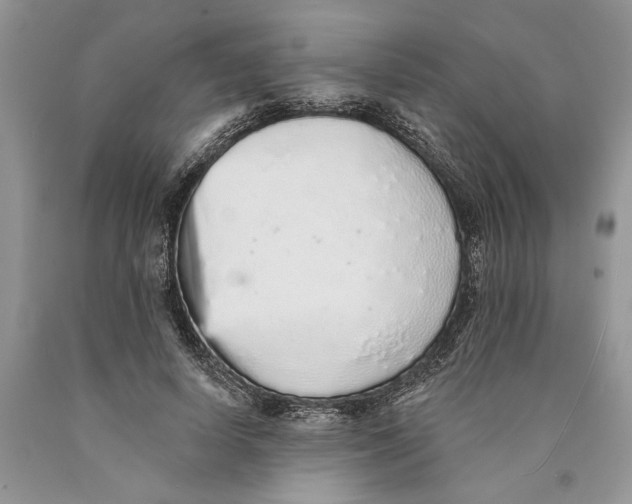 X0000089960642200707271902