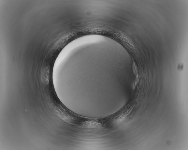 X0000089960644200707271902