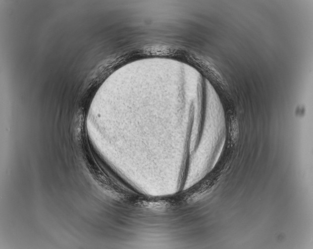 X0000089960645200707271902