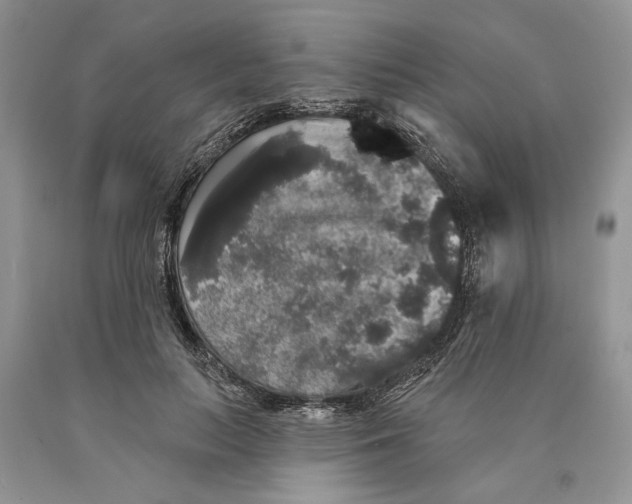 X0000089960647200707271902