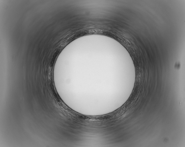 X0000089960649200707271902