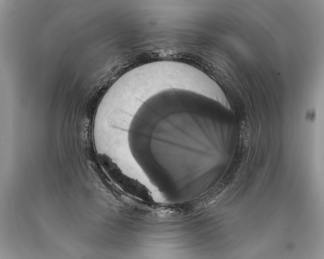 X0000089960650200707271902