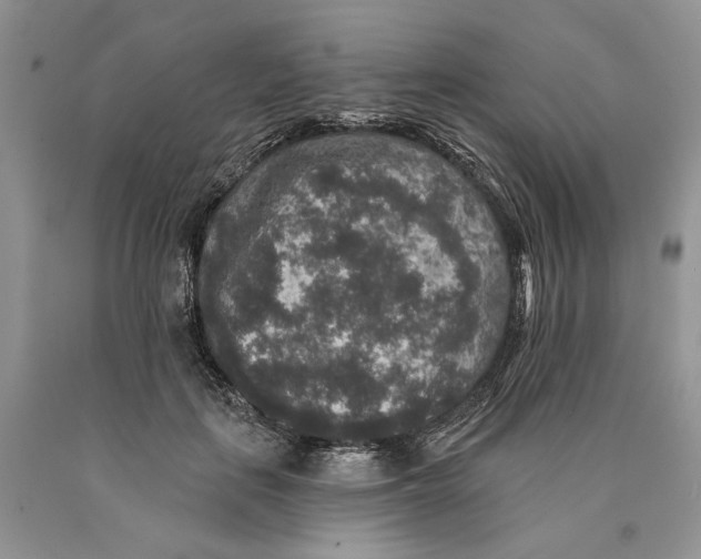 X0000089960651200707271902