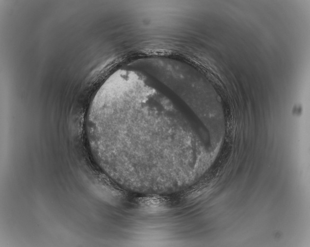 X0000089960652200707271902