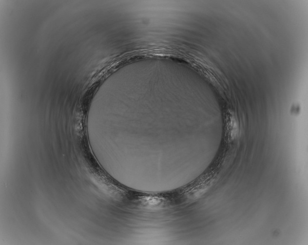 X0000089960654200707271902