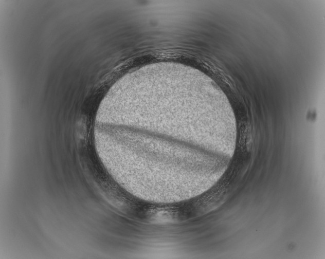 X0000089960655200707271902